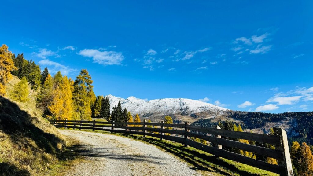 ショート動画クリエイターのプロを目指す3ヶ月のロードマップのイメージ